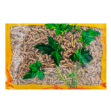 瓦屋山药业中药饮片 制远志 甘草汁制 中药材抓配 中药材店铺大全