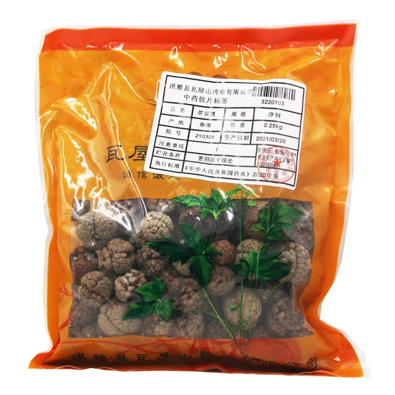 Wawasan Pharmaceuticals Chinese Herbal Drinks Herb Nutmeg Net Prepared Chinese Herbal Remedies Chinese Herbal Medicine Shop瓦屋山药业中药饮片 草豆蔻 净制 中药材抓配 中药材店铺大全 Main image