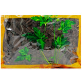 Wawasan Pharmaceuticals Chinese Medicine Drinks Diyu Charcoal Fried Charcoal Chinese Herbal Medicine Grab & Go Chinese Herbal Medicine Store瓦屋山药业中药饮片 地榆炭 炒炭 中药材抓配 中药材店铺大全