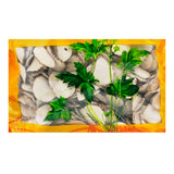 Wawashan Pharmaceuticals Chinese Herbal Drinks Sanleng First Grade Tablets Chinese Herbal Remedies Chinese Herbal Medicine Shop瓦屋山药业中药饮片 三棱 一等片 中药材抓配 中药材店铺大全