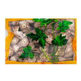 Wawasan Pharmaceuticals Chinese Medicine Drinks Betel nut Tablets First Class Chinese Herbal Remedies Chinese Herbal Medicine Store瓦屋山药业中药饮片 槟榔 片一等 中药材抓配 中药材店铺大全