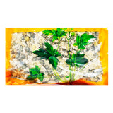 瓦屋山药业中药饮片 菊花 贡菊一等 中药材抓配 中药材店铺大全