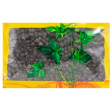 Wawashan Pharmaceuticals Chinese Herbal Drinks Southern Schisandra Seed Pure Chinese Herbal Remedies Chinese Herbal Shop Directory瓦屋山药业中药饮片 南五味子 净制 中药材抓配 中药材店铺大全