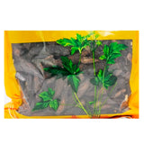 瓦屋山药业中药饮片 肉苁蓉片 特等片 中药材抓配 中药材店铺大全