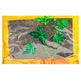 Wawasan Pharmaceuticals Chinese Herbal Drinks Charcoal of Cynoglossum Grandiflorum Fried Charcoal Chinese Herbal Medicine Grab & Go Chinese Herbal Medicine Store瓦屋山药业中药饮片 大叶茜草炭 炒炭 中药材抓配 中药材店铺大全