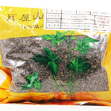 Wawasan Pharmaceuticals Chinese Herbal Drinks Cornus officinalis (Pure) Chinese Herbal Remedies Chinese Herbal Medicine Shop 瓦屋山药业中药饮片 吴茱萸 净制 中药材抓配 中药材店铺大全