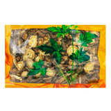 瓦屋山药业中药饮片 当归  精品片 中药材抓配 中药材店铺大全