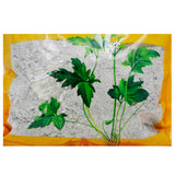 Wawashan Pharmaceuticals Chinese Herbal Drinks Calcined Cassia Calcined Chinese Herbal Grab & Go Chinese Herbal Shop 瓦屋山药业中药饮片 煅石决明 煅制 中药材抓配 中药材店铺