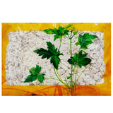 Wawasan Pharmaceuticals Chinese Herbal Drinks Dragon Bone Crushed Chinese Herbal Medicine Grab & Go Chinese Herbal Medicine Shop Complete List瓦屋山药业中药饮片 龙骨 碎块 中药材抓配 中药材店铺大全