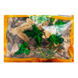 Wawasan Pharmaceuticals Chinese Herbal Drinks Bran Fried Atractylodes Macrocephalae Bran Fried Chinese Herbal Medicine Grab & Go Chinese Herbal Medicine Shop Complete List瓦屋山药业中药饮片 麸炒白术  麸炒 中药材抓配 中药材店铺大全
