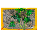 瓦屋山药业中药饮片 连翘 净制  中药材抓配 中药材店铺大全