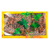 Wawasan Pharmaceuticals Chinese Herbal Drinks Honey Yuanzhi Honey Roasted First Class Chinese Herbal Remedies Chinese Herbal Medicine Store瓦屋山药业中药饮片 蜜远志 蜜炙一等 中药材抓配 中药材店铺大全