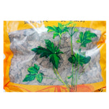 Wawasan Pharmaceuticals Herbal Drinks Loquat Leaf Loquat Leaf Silk Chinese Herbal Remedy Chinese Herbal Shop 瓦屋山药业中药饮片 枇杷叶 丝 中药材抓配 中药材店铺大全
