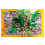 Wawashan Pharmaceuticals Chinese Medicine Drinks Hai Feng Teng Duan Chinese Herbal Medicine Grabbing and Dispensing Chinese Herbal Medicine Shop Complete List 瓦屋山药业中药饮片 海风藤 段 中药材抓配 中药材店铺大全