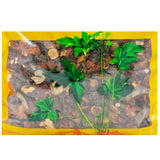 Wawasan Pharmaceuticals Chinese Herbal Drinks Fried Gardenia Freshly Fried Chinese Herbal Medicine Grab & Go Chinese Herbal Medicine Store 瓦屋山药业中药饮片 炒栀子 清炒 中药材抓配 中药材店铺大全