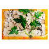 Wawashan Pharmaceuticals Chinese Herbal Drinks Bai Tu Ling Tablet Chinese Herbal Remedy Chinese Herbal Shop 瓦屋山药业中药饮片 白土苓 片 中药材抓配 中药材店铺大全