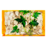 瓦屋山药业中药饮片 西洋参 片 中药材抓配 中药材店铺大全