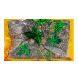 Wawasan Pharmaceuticals Chinese Herbal Drinks Aster Segment Chinese Herbal Remedies Chinese Herbal Medicine Shop瓦屋山药业中药饮片 紫菀 段 中药材抓配 中药材店铺大全