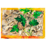 Wawashan Pharmaceuticals Chinese Herbal Drinks Dagong Pi Duan Chinese Herbal Medicine Grab & Go Chinese Herbal Medicine Shop 瓦屋山药业中药饮片 大腹皮 段 中药材抓配 中药材店铺大全