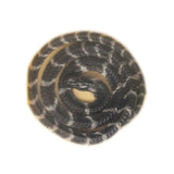 Wawashan Pharmaceuticals Chinese Medicine Drinks Money White Snake 1 Chinese Herbal Remedies Chinese Herbal Medicine Shop瓦屋山药业中药饮片 金钱白花蛇 1条 中药材抓配 中药材店铺大全