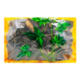 Wawashan Pharmaceuticals Chinese Medicine Drinks Dihuang Tablets First Class Chinese Herbal Remedies Chinese Herbal Medicine Shop瓦屋山药业中药饮片 地黄 片一等 中药材抓配 中药材店铺大全