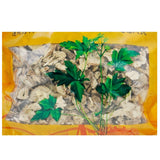 Wawasan Pharmaceuticals Chinese Medicine Drinks Nansha Ginseng Tablets Chinese Herbal Remedies Chinese Herbal Medicine Store瓦屋山药业中药饮片 南沙参 片 中药材抓配 中药材店铺大全