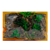 瓦屋山药业中药饮片 羌活 片一等 中药材抓配 中药材店铺大全
