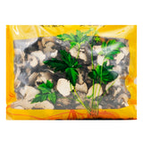 Wawasan Pharmaceuticals Chinese Herbal Drinks Pohuang Charcoal Fried Charcoal Chinese Herbal Medicine Grab & Go Chinese Herbal Medicine Store瓦屋山药业中药饮片 蒲黄炭 炒炭 中药材抓配 中药材店铺大全