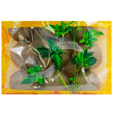 Wawasan Pharmaceuticals Chinese Herbal Drinks Lohan Fruit Small 10 Chinese Herbal Remedies Chinese Herbal Shop Directory 瓦屋山药业中药饮片 罗汉果 小个10个 中药材抓配 中药材店铺大全