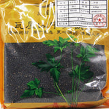 Wawasan Pharmaceuticals Chinese Medicine Drinks Safflower Seeds Pure Chinese Herbal Remedies Chinese Herbal Shop Directory瓦屋山药业中药饮片 水红花子 净制 中药材抓配 中药材店铺大全