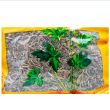 Wawashan Pharmaceuticals Chinese Medicine Drinks Xia Ku Quan Cao First Grade Chinese Herbal Remedies Chinese Herbal Medicine Shop 瓦屋山药业中药饮片 夏枯全草 一等段 中药材抓配 中药材店铺大全