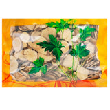 Wawashan Pharmaceuticals Chinese Medicine Drinking Tablets Wuyao Tablets Special etc. Chinese Herbal Medicine Grabbing and Dispensing Chinese Herbal Medicine Shop Complete List瓦屋山药业中药饮片 乌药 片特等 中药材抓配 中药材店铺大全