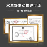 Wawashan Pharmaceuticals Chinese Medicine Drinks Seahorses Male and Female Pairs Chinese Herbal Medicine Grab and Go Chinese Herbal Medicine Shop Complete List 瓦屋山药业中药饮片 海马 公母配对 中药材抓配 中药材店铺大全