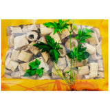 Wawasan Pharmaceuticals Herbal Drinks Rehmanniae Root Segment Chinese Herbal Remedies Chinese Herbal Medicines Shop 瓦屋山药业中药饮片 芦根 段 中药材抓配 中药材店铺大全