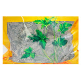 Wawashan Pharmaceuticals Chinese Herbal Drinks Shinan Teng Duan Chinese Herbal Medicine Grabbing and Dispensing Chinese Herbal Medicine Shop Complete List 瓦屋山药业中药饮片 石南藤 段 中药材抓配 中药材店铺大全