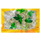 Wawashan Pharmaceuticals Chinese Herbal Drinks Herba Hongteng Duan Chinese Herbal Medicine Grabbing and Dispensing Chinese Herbal Medicine Shop Complete List瓦屋山药业中药饮片 草红藤 段 中药材抓配 中药材店铺大全