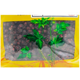 Wawashan Pharmaceuticals Chinese Herbal Drinks Fructus Schisandrae Chinensis Pure Chinese Herbal Remedies Chinese Herbal Shop Directory瓦屋山药业中药饮片 五味子 净制 中药材抓配 中药材店铺大全