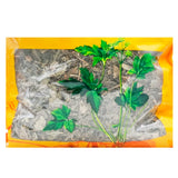 Wawashan Pharmaceuticals Chinese Herbal Drinks Plantain Section Chinese Herbal Remedies Chinese Herbal Medicines Shop 瓦屋山药业中药饮片 车前草 段 中药材抓配 中药材店铺大全