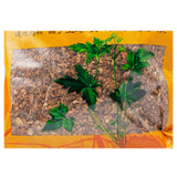 Wawasan Herb Pharmaceuticals Chinese Herbal Drinks Fried Sophora japonica Freshly fried Chinese herbal medicine grabbing and dispensing Chinese herbal medicine store book瓦屋山药业中药饮片 炒槐花 清炒 中药材抓配 中药材店铺大全
