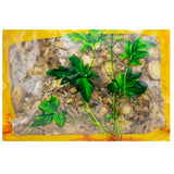 瓦屋山药业中药饮片 当归 片 中药材抓配 中药材店铺大全