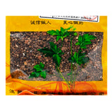 Wawasan Pharmaceuticals Chinese Herbal Drinks Yi Zhi Ren Ren Chinese Herbal Medicine Grab & Go Chinese Herbal Medicine Shop Directory瓦屋山药业中药饮片 益智仁 仁 中药材抓配 中药材店铺大全