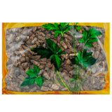 Wawashan Pharmaceuticals Chinese Herbal Drinks Hu Huanglian Duan Duan Chinese Herbal Medicine Grab & Go Chinese Herbal Medicine Shop瓦屋山药业中药饮片 胡黄连段 段 中药材抓配 中药材店铺大全