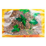 Wawasan Pharmaceuticals Herbal Drinks Cynanchum officinale First Grade Chinese Herbal Remedy Chinese Herbal Shop瓦屋山药业中药饮片 大叶茜草 一等段 中药材抓配 中药材店铺大全
