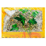 Wawashan Pharmaceuticals Chinese Medicine Drinks Mullein Duan Chinese Herbal Medicine Grab & Go Chinese Herbal Medicine Store 瓦屋山药业中药饮片 木贼 段 中药材抓配 中药材店铺大全