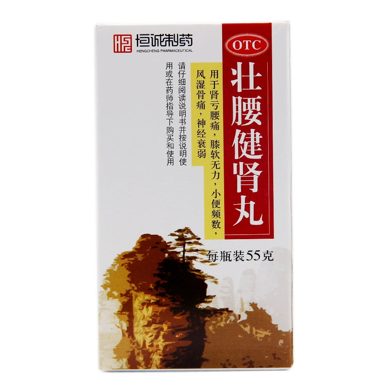 Nanhai Strong Waist and Kidney Pills 55g*1 bottle/box OTC 南海 壮腰健肾丸 55g*1瓶/盒  OTC Main image