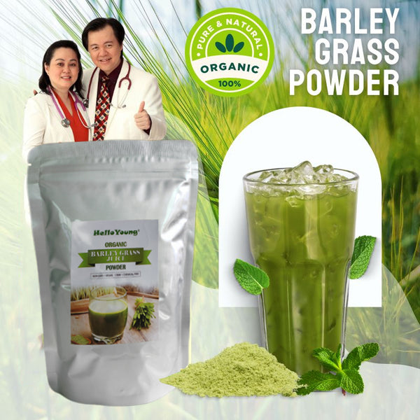 Pure Wheat Grass Powder, Wheat Grass extract powder, Wheatgrass Powder