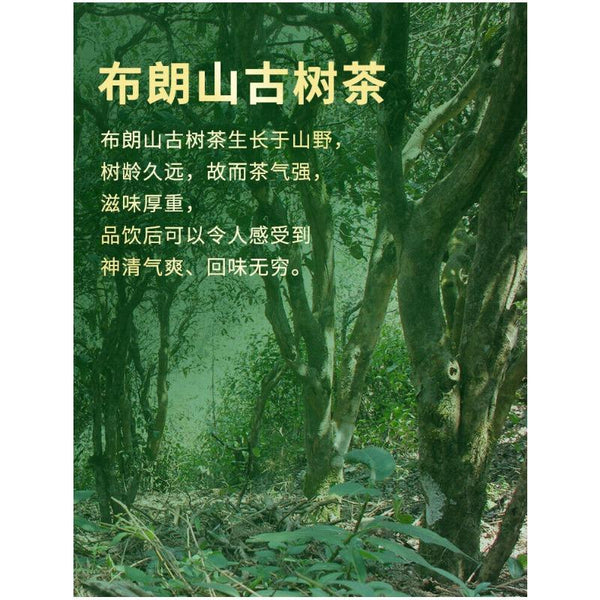 CIFbuy 357G Brown Mountain Pu-erh Raw Tea Ancient Pure Material Pu-erh Seven Seed Cake