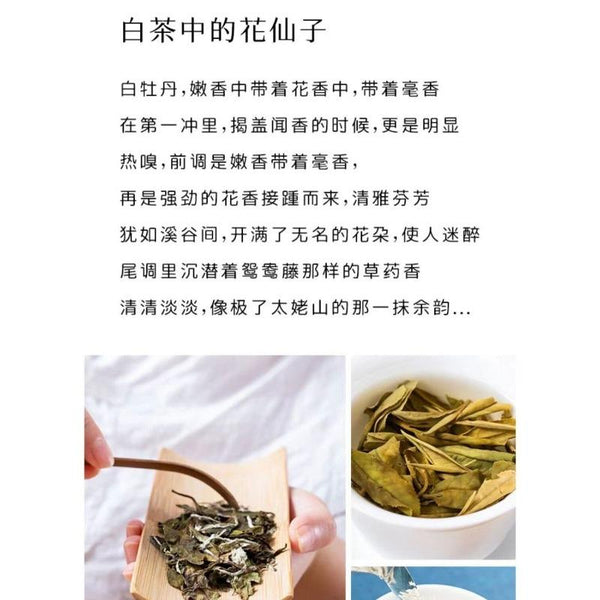 CIFbuy 300g Fuding White Tea Peony King Old White Tea Cake High Mountain Aged Wild Tea