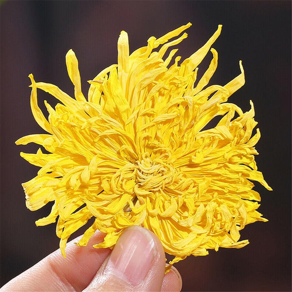 CIFbuy Golden Chrysanthemum Tea Flower Blossom Cooling Healing Floral Tea 100 Blooms