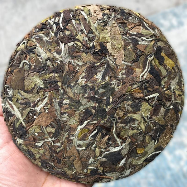 CIFbuy 2016 White Peony Fuding White Tea High Mountain White Peony Bai Cha Flower Scented Cake 350g